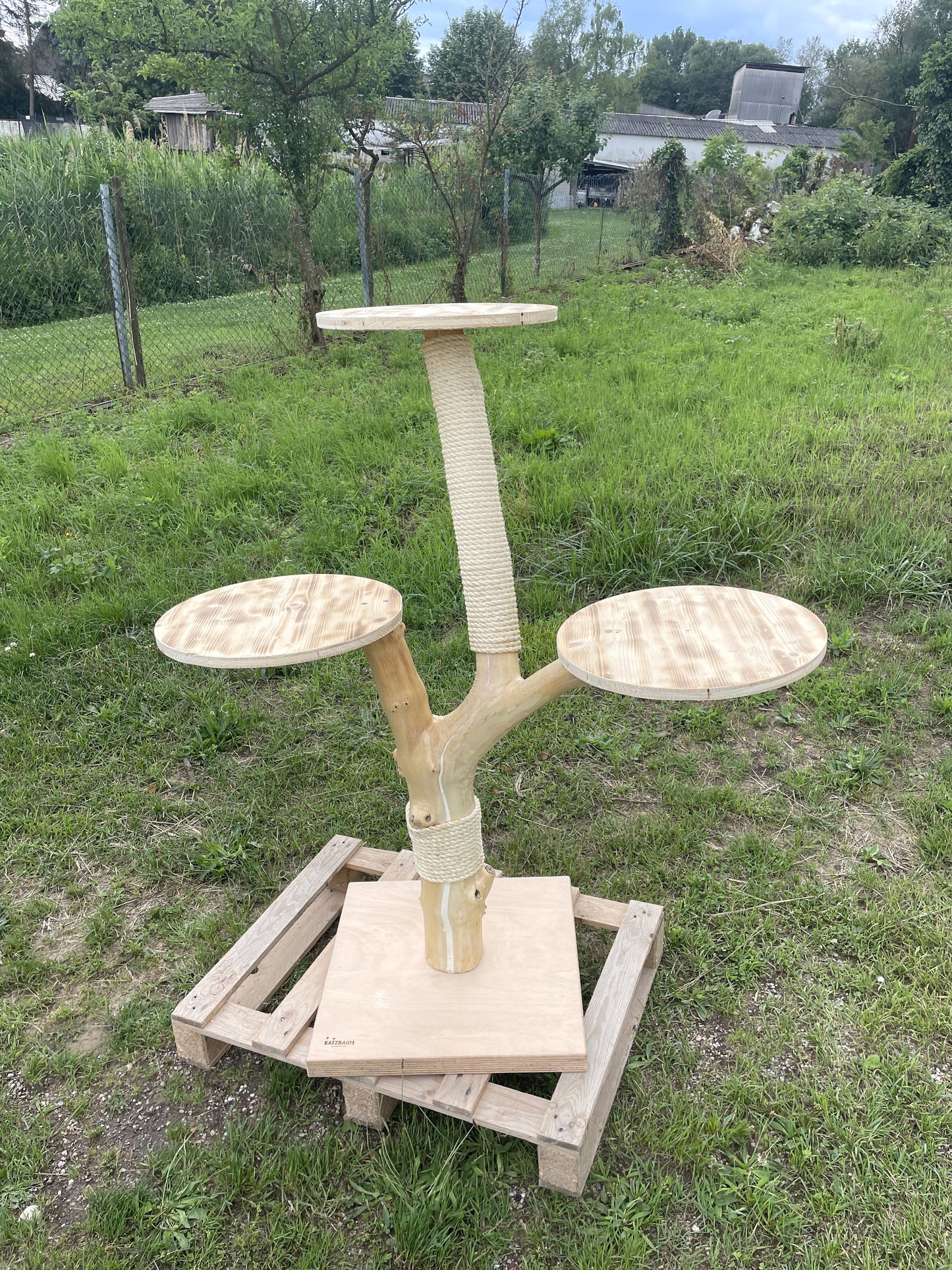 Katzbaum Manufaktur Baden-Baden. www.katzbaum-manufaktur.de, Naturkratzbaum, massiv, handarbeit, Unikat, Kratzbaum Naturholz