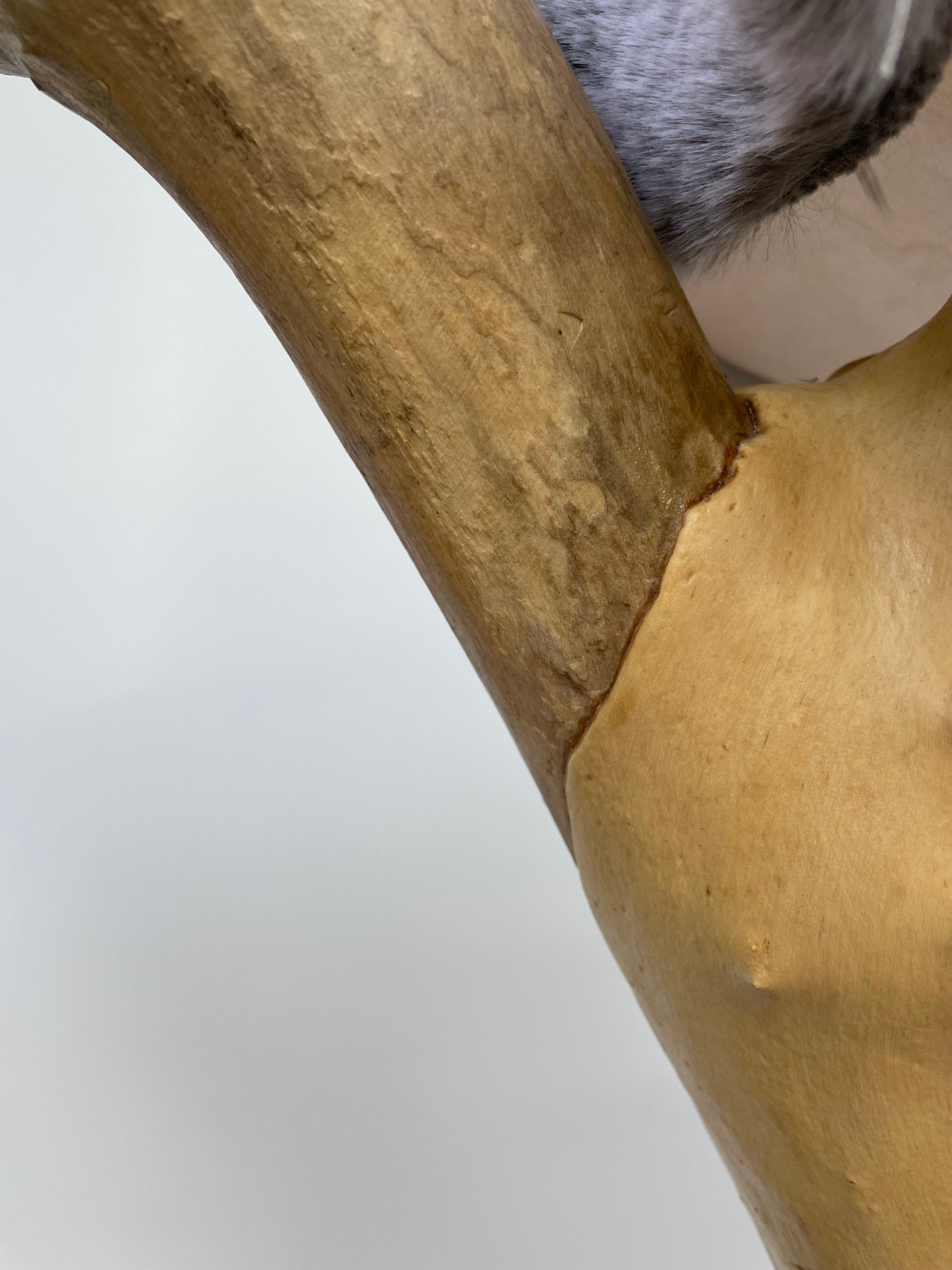 katzbaum manufaktur baden-baden, www.katzbaum-manufaktur.de, Handgefertigter Kratzstamm aus Naturholz – ein einzigartiges Unikat für Ihre Katze, perfekt zum Kratzen und Klettern. Katzbaum Manufaktur Baden-Baden. www.katzbaum-manufaktur.de, Naturkratzbaum, massiv, handarbeit, Unikat, Kratzstamm, Kratzbaum, Naturholz, Katzenhängematte, Katzenhöhle, Liegemulde, Katze, katzbaum manufaktur, www.katzbaum-manufaktur.de