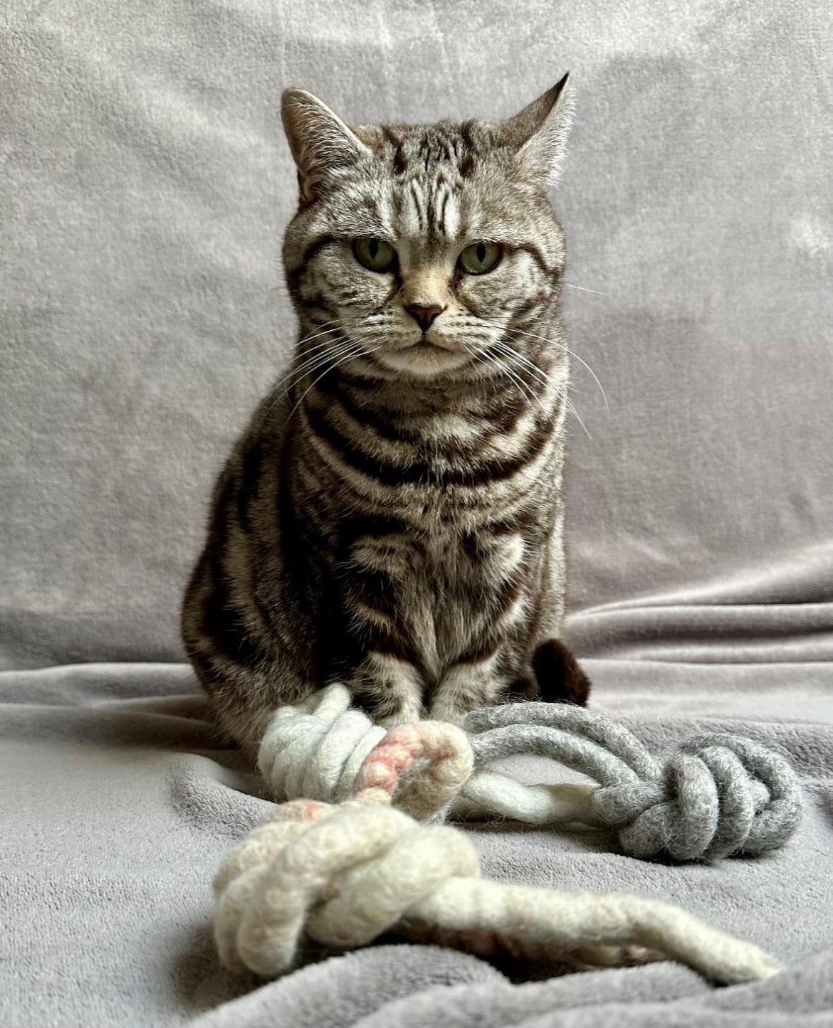 Katzbaum Manufaktur Baden-Baden. www.katzbaum-manufaktur.de, Naturkratzbaum, massiv, handarbeit, Unikat, Kratzbaum Naturholz