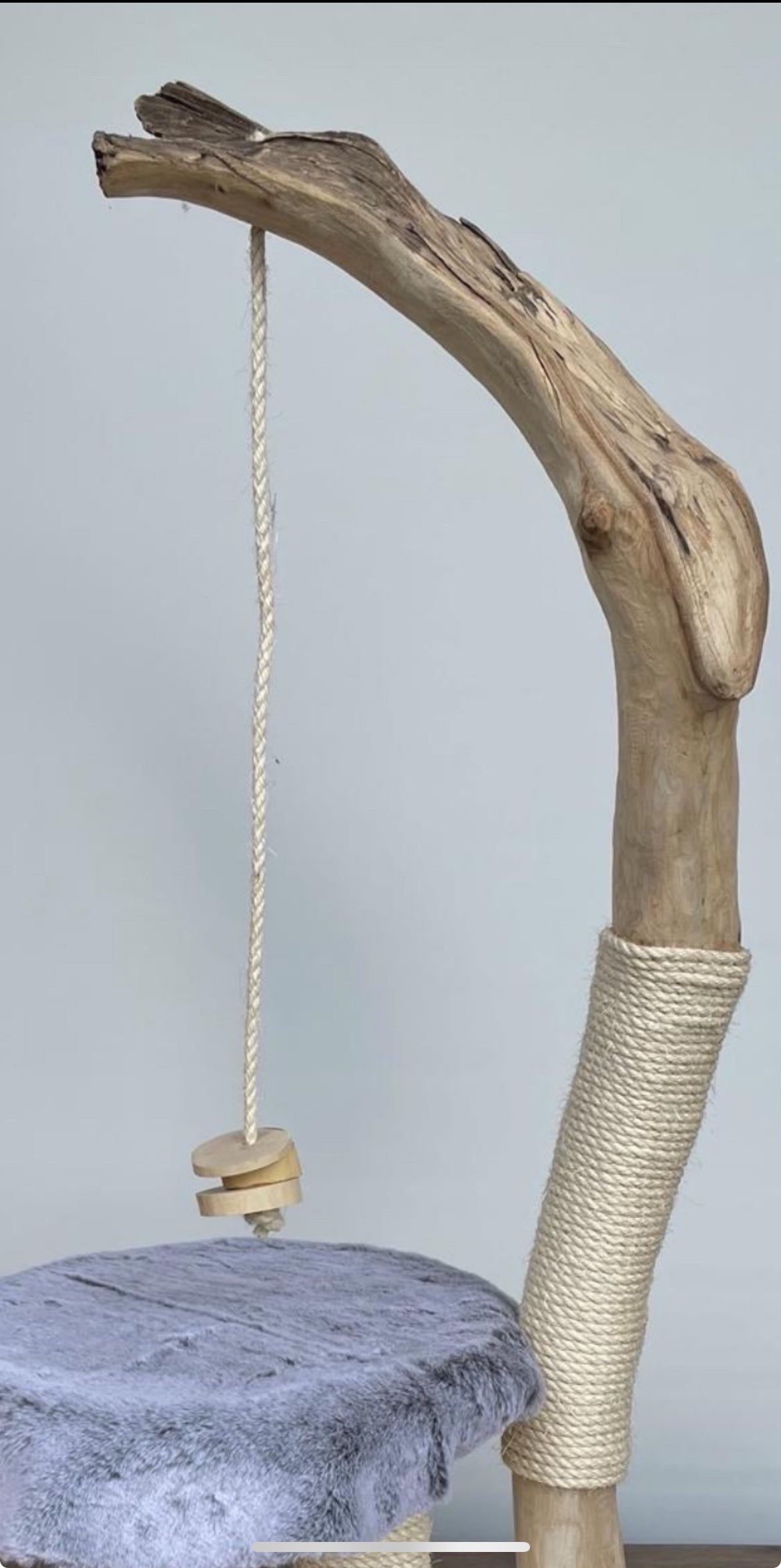 katzbaum manufaktur baden-baden, www.katzbaum-manufaktur.de, Handgefertigter Kratzstamm aus Naturholz – ein einzigartiges Unikat für Ihre Katze, perfekt zum Kratzen und Klettern. Katzbaum Manufaktur Baden-Baden. www.katzbaum-manufaktur.de, Naturkratzbaum, massiv, handarbeit, Unikat, Kratzstamm, Kratzbaum, Naturholz, Katzenhängematte, Katzenhöhle, Liegemulde, Katze, katzbaum manufaktur, www.katzbaum-manufaktur.de