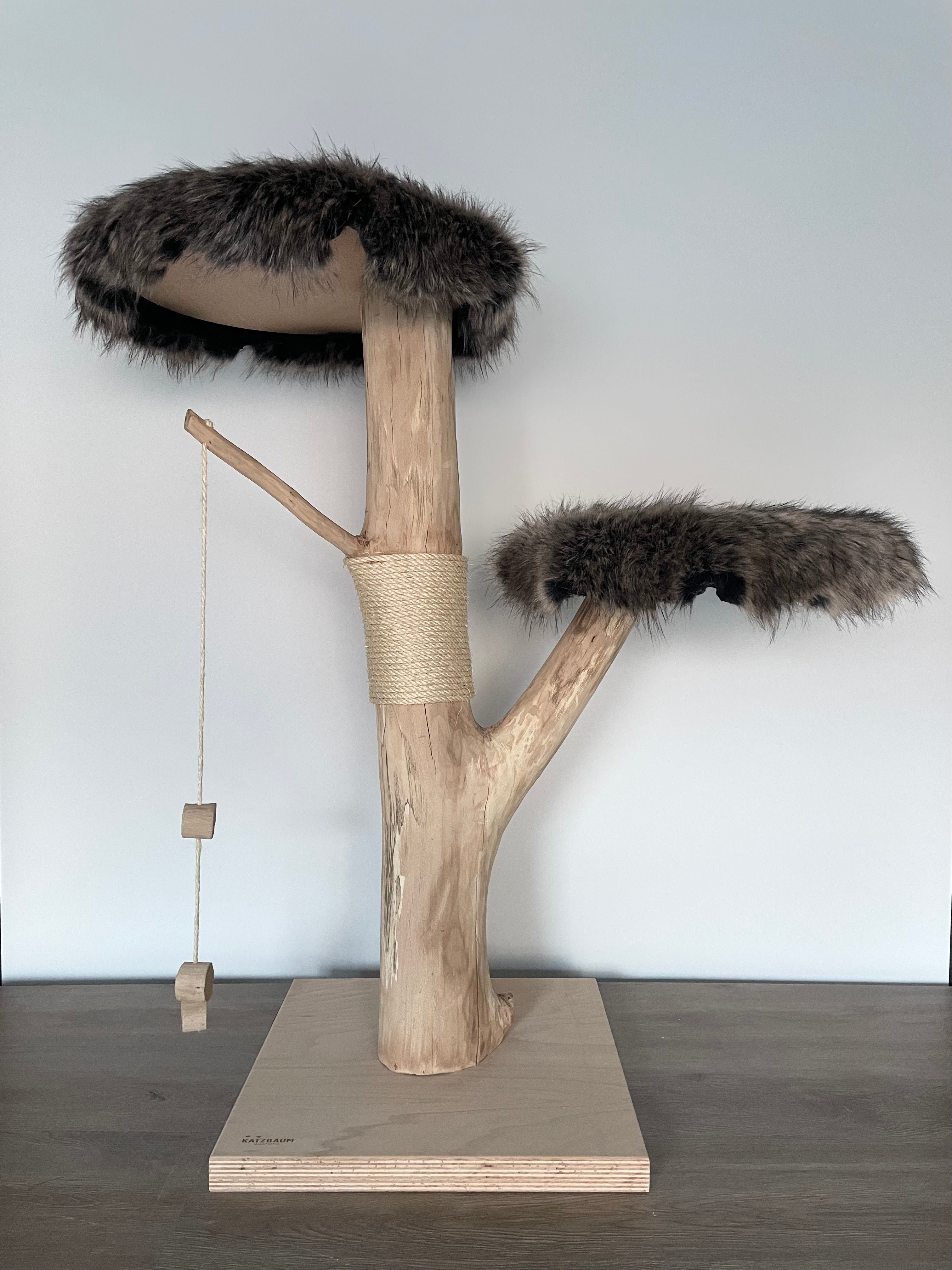 Kratzbaum Unikat mit mehreren Ebenen aus massivem Naturholz