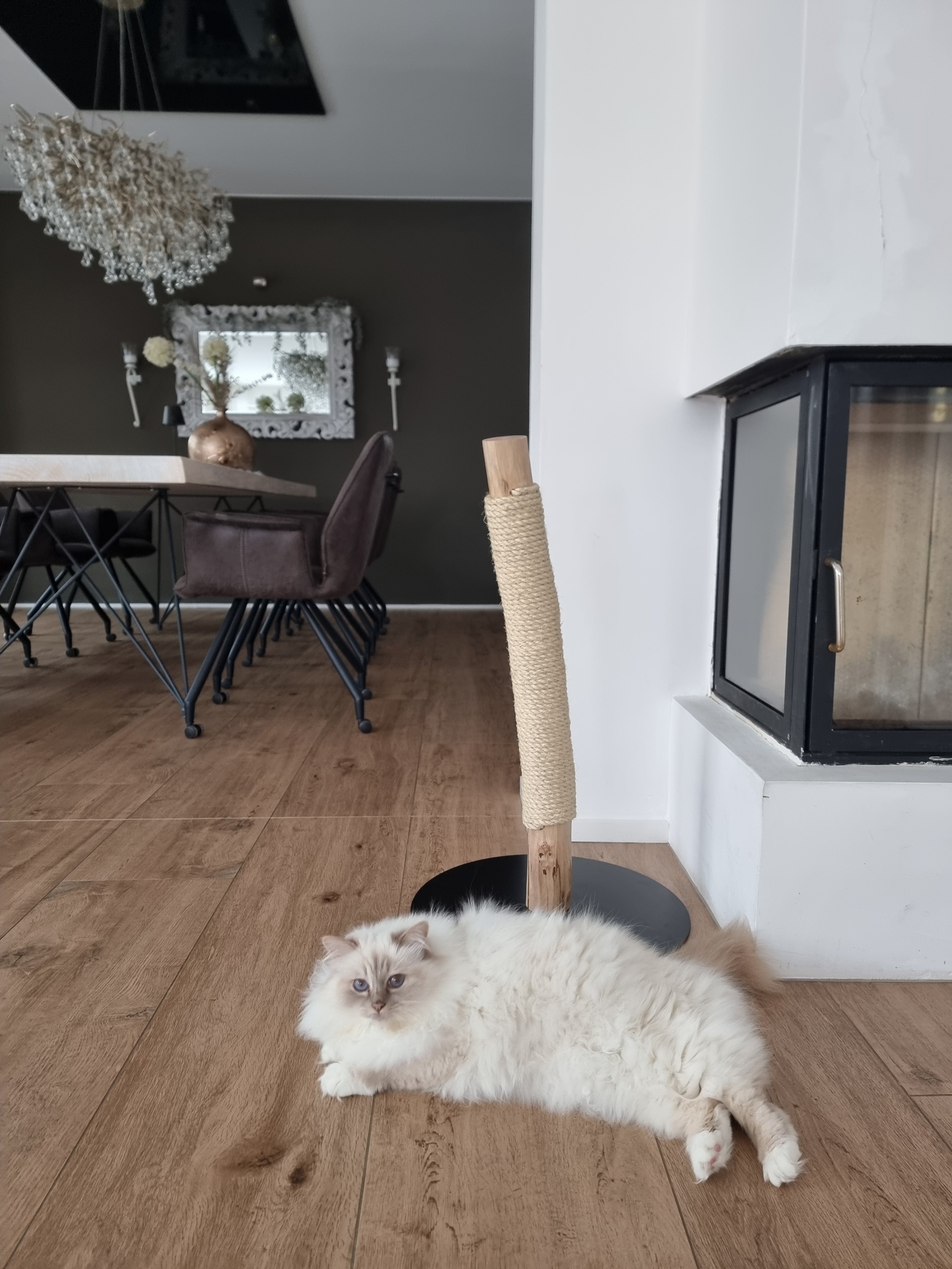 Ein eleganter, minimalistischer Naturkratzbaum in einem modernen Wohnzimmer mit einer flauschigen Heiligen Birma Katze.