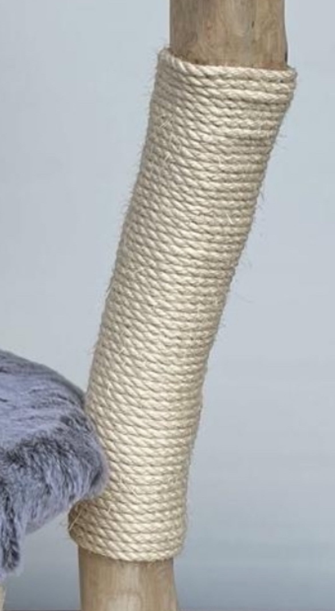 katzbaum manufaktur baden-baden, www.katzbaum-manufaktur.de, Handgefertigter Kratzstamm aus Naturholz – ein einzigartiges Unikat für Ihre Katze, perfekt zum Kratzen und Klettern. Katzbaum Manufaktur Baden-Baden. www.katzbaum-manufaktur.de, Naturkratzbaum, massiv, handarbeit, Unikat, Kratzstamm, Kratzbaum, Naturholz, Katzenhängematte, Katzenhöhle, Liegemulde, Katze, katzbaum manufaktur, www.katzbaum-manufaktur.de